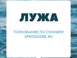 Лужа